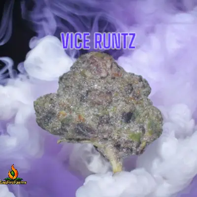 Vice Runtz